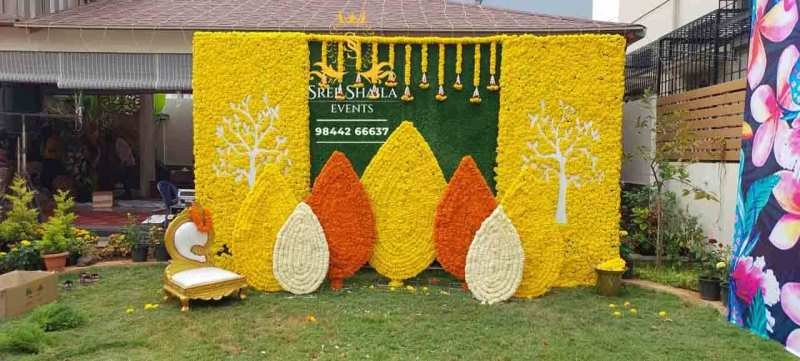 Haldi-3